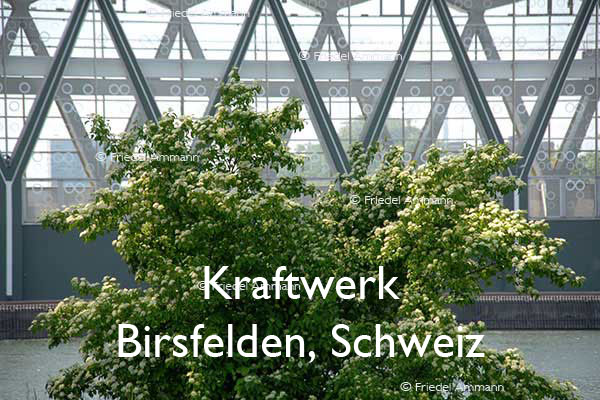 BAUTEN - Industriegebäude - Wasserkraftwerk - Birsfelden, Schweiz