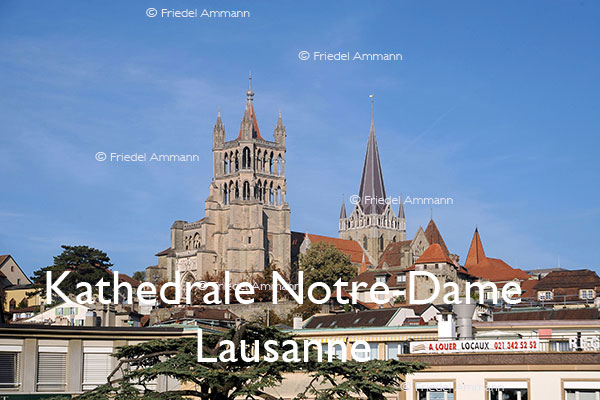 BAUTEN - Sakralbauten / Sacred architecture - Kathedrale Notre-Dame - Lausanne, Schweiz