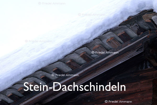 BAUTEN / MOBILITÄT – BUILDINGS - Konstruktionen / Constructions – Stein-Dachschindeln - Vals, Graubünden, Schweiz