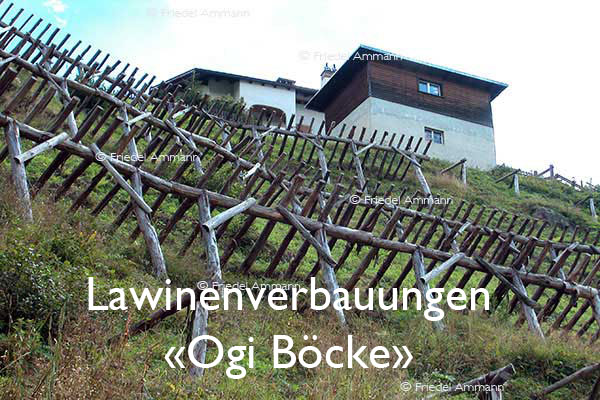 BAUTEN / MOBILITÄT – BUILDINGS - Konstruktionen / Constructions – Lawinenverbauungen «Ogi Böcke» - Schweiz