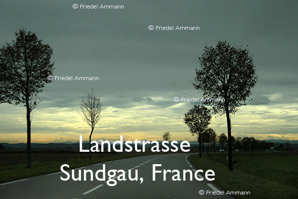 BAUTEN / MOBILITÄT – BUILDINGS / MOBILITY - Strassen, Tunnels - Roads, Tunnel – Landstrasse im Sundgau, France