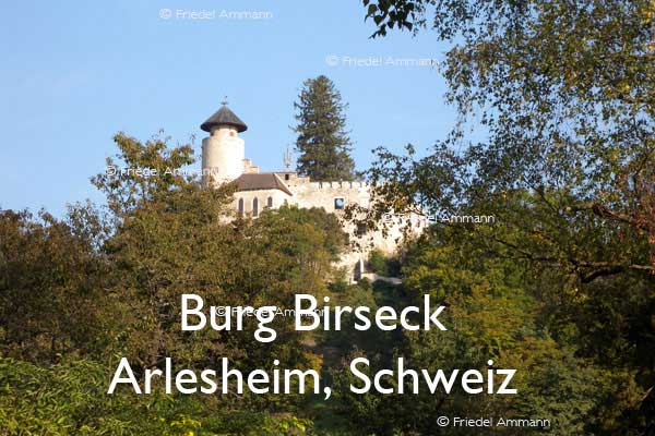 BAUTEN / BUILDINGS - Burgen / Castles  – Burg Birseck - Arlesheim, Schweiz