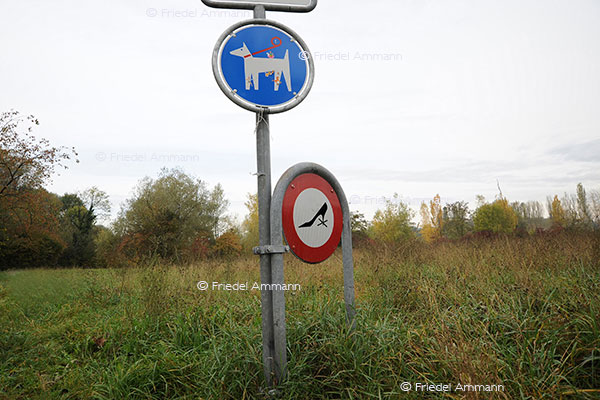 BAUTEN / MOBILITÄT - BUILDINGS / MOBILITY - Verkehrszeichen / Roadsign - Schweizer Hinweis-, Verbotstafel