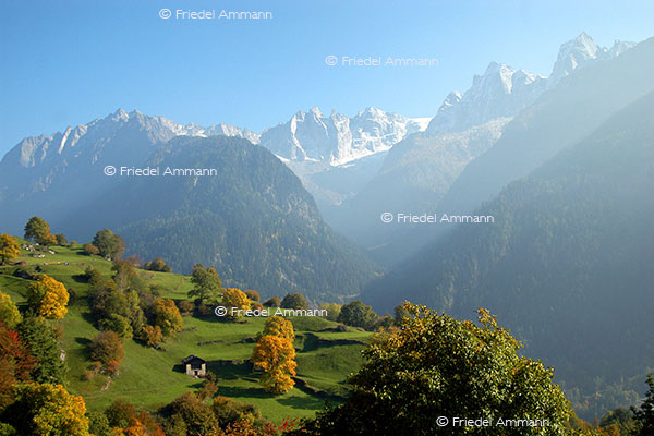 IMPRESSIONEN - Herbst / Autumn