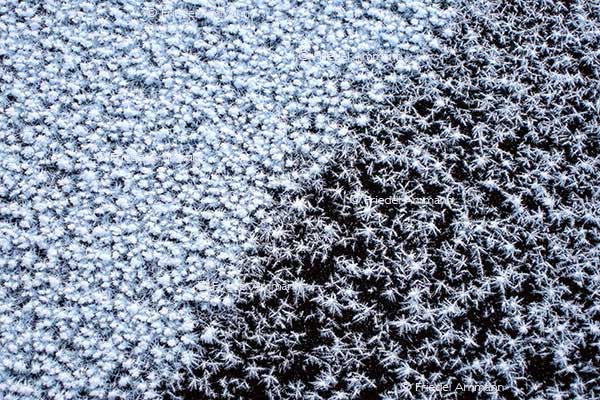 IMPRESSIONEN - Winter