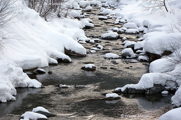 IMPRESSIONEN - Winter