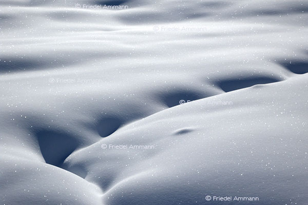 IMPRESSIONEN - Winter