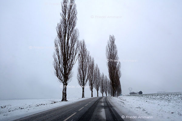 IMPRESSIONEN - Winter