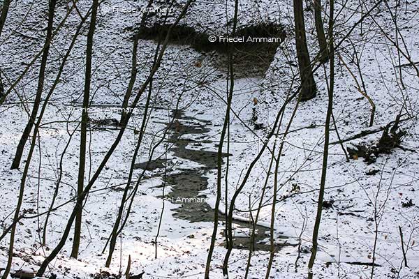 IMPRESSIONEN - Winter