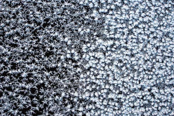 IMPRESSIONEN - Winter