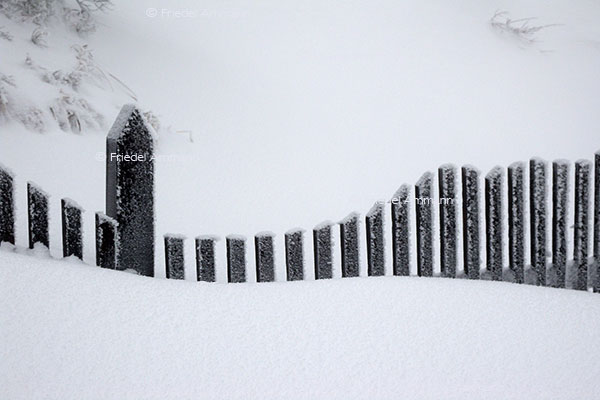 IMPRESSIONEN - Winter