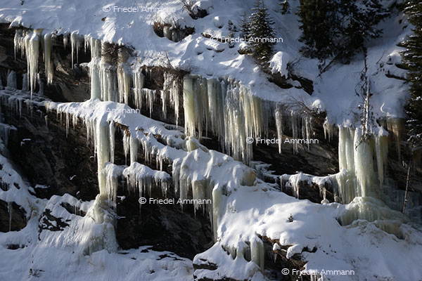 IMPRESSIONEN - Winter