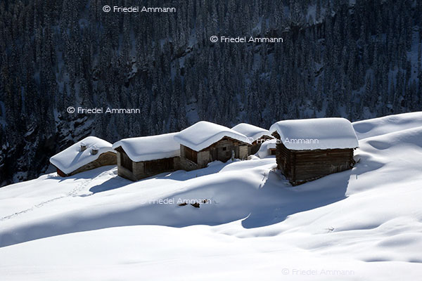 IMPRESSIONEN - Winter