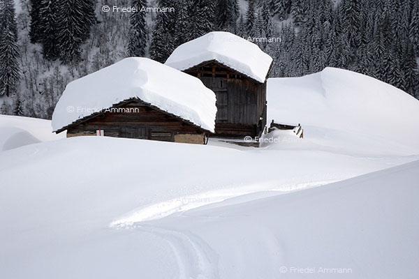 IMPRESSIONEN - Winter