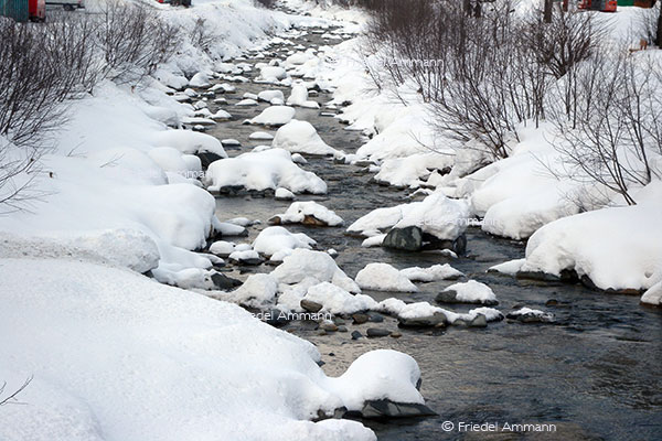 IMPRESSIONEN - Winter