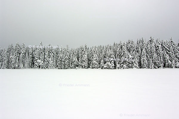 IMPRESSIONEN - Winter