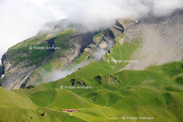 IMPRESSIONEN - Landschaften / Landscapes – Klewenalp, Schweiz
