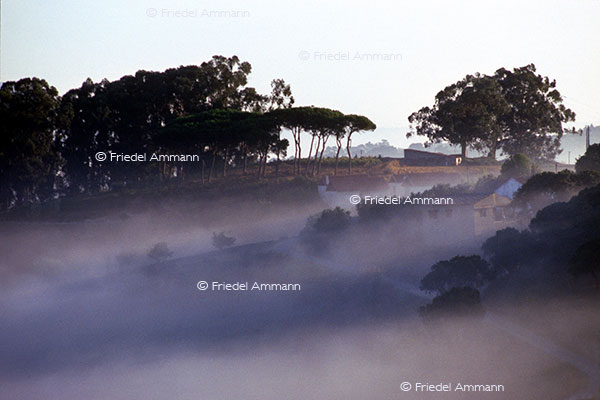IMPRESSIONEN - Landschaften / Landscapes – Toscana, Italia