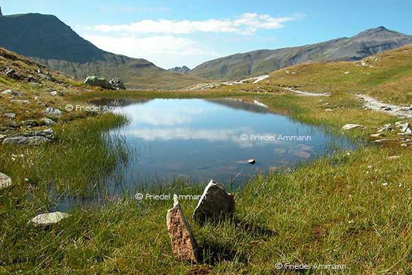 IMPRESSIONEN - Landschaften / Landscapes – Greina, Schweiz