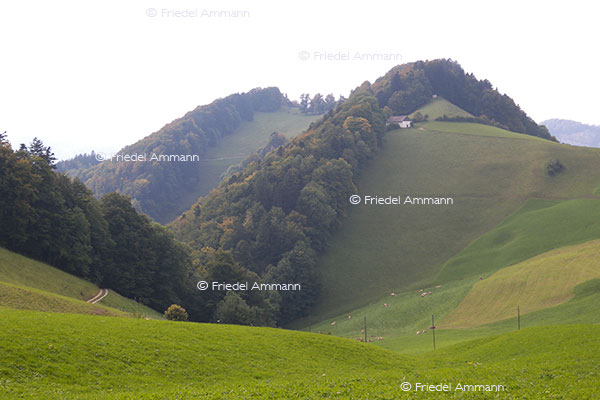 IMPRESSIONEN - Landschaften / Landscapes - Passwang, Schweiz