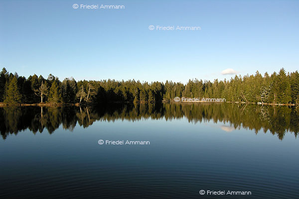 IMPRESSIONEN - Landschaften / Landscapes - Etang de la Gruère, Jura, Schweiz