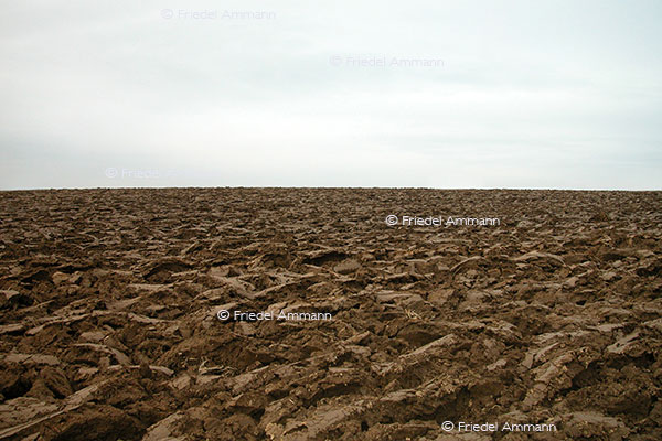 IMPRESSIONEN - Landschaften / Landscapes