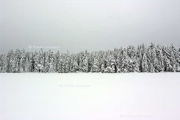 IMPRESSIONEN - Landschaften / Landscapes - Etang de la Gruère, Jura, Schweiz