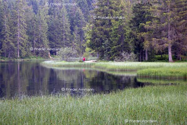 IMPRESSIONEN - Landschaften / Landscapes - Etang de la Gruère, Jura, Schweiz