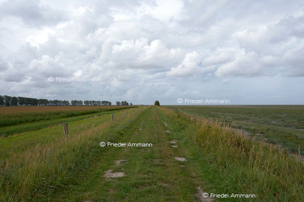 IMPRESSIONEN - Landschaften / Landscapes – Bretagne, France