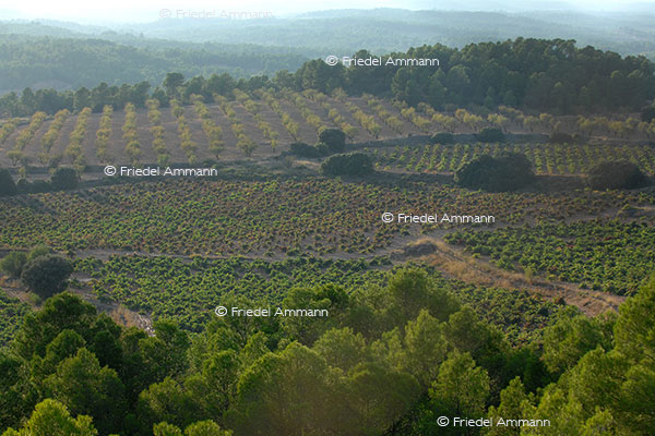 IMPRESSIONEN - Landschaften / Landscapes 2 - Spanien