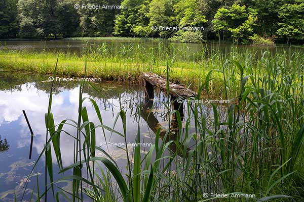 IMPRESSIONEN - Landschaften / Landscapes 2 – Sundgau, France