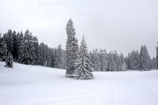 IMPRESSIONEN - Landschaften / Landscapes 2 – Jura, Schweiz