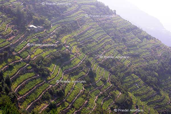 IMPRESSIONEN - Landschaften / Landscapes 2 – Cinque Terre, Italia