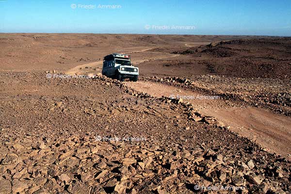 IMPRESSIONEN - Landschaften / Landscapes 2 – Sahara, Algerien