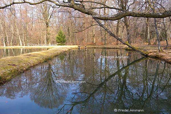 IMPRESSIONEN - Landschaften / Landscapes 2
