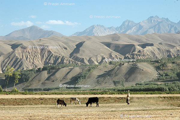 IMPRESSIONEN - Landschaften / Landscapes 2 - Bamiyan, Afghanistan