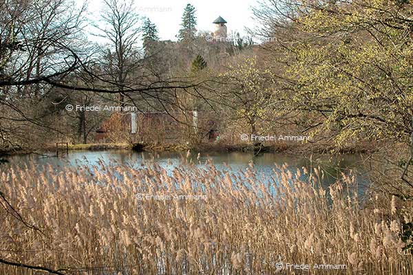 IMPRESSIONEN - Landschaften / Landscapes 2 – Ermitage, Arlesheim, Schweiz