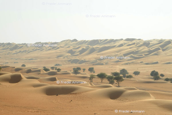 IMPRESSIONEN - Landschaften / Landscapes 2 - Wahiba Sands, Oman 