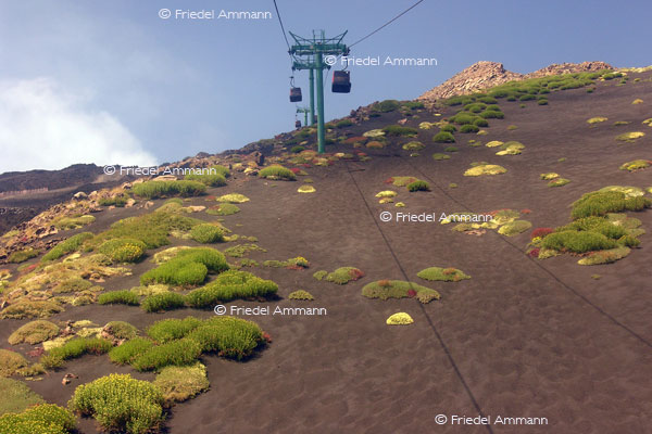 IMPRESSIONEN - Landschaften / Landscapes 2 – Ätna, Sizilien / Sicilia, Italia