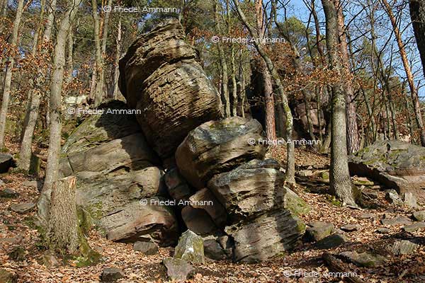 IMPRESSIONEN – Natur 1 – Sandstein, Elsass, France