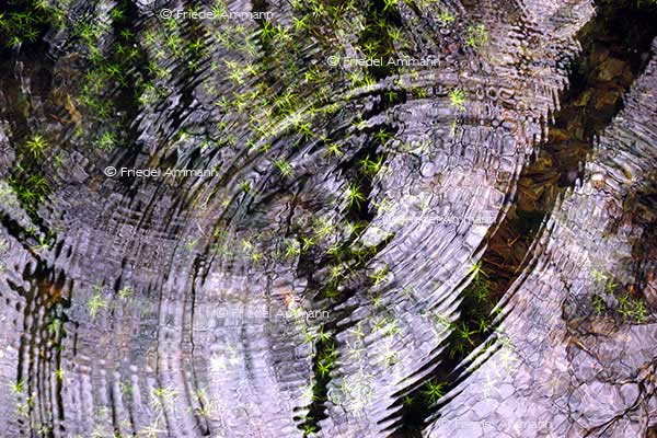 IMPRESSIONEN – Natur 1 - Wasser
