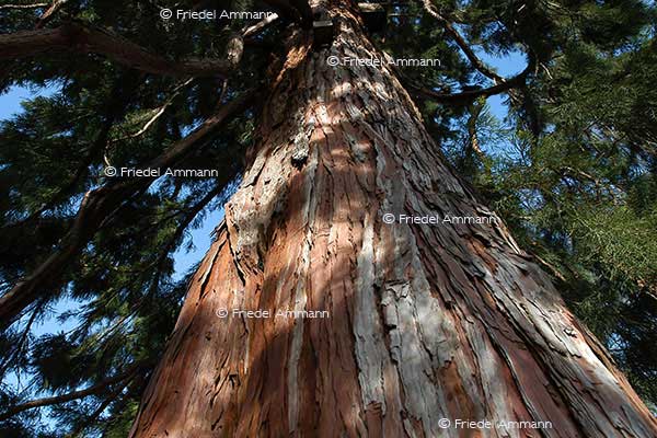 IMPRESSIONEN – Natur 1