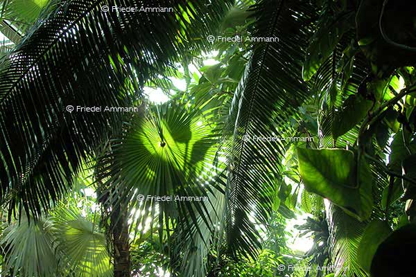 IMPRESSIONEN – Natur 1