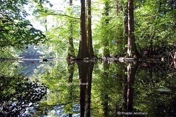 IMPRESSIONEN – Natur 1