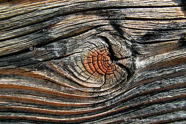 IMPRESSIONEN – Natur 1 