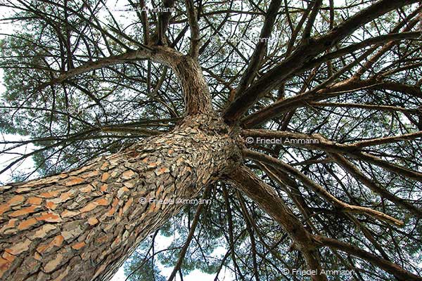 IMPRESSIONEN – Natur 1