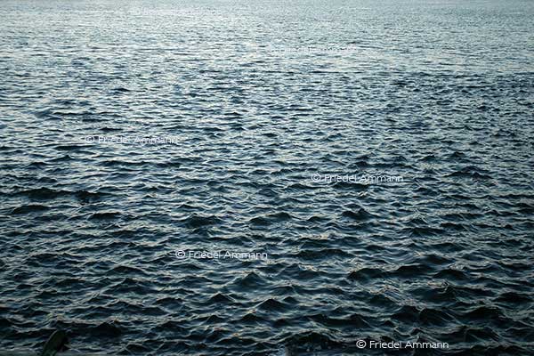 IMPRESSIONEN – Natur 1 - Wasser