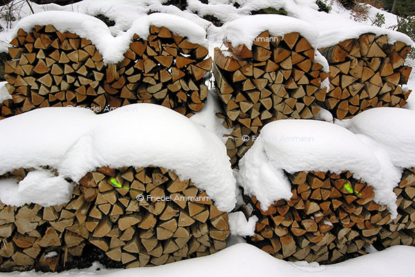 IMPRESSIONEN - Natur 2 - Brennholz