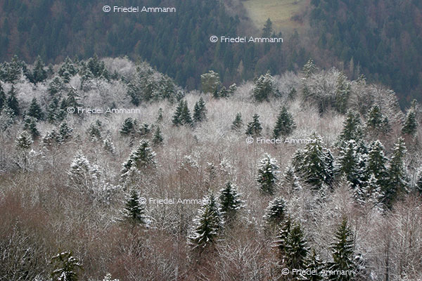 IMPRESSIONEN - Natur 2