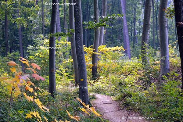 IMPRESSIONEN - Natur 2